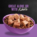 Cesar Classic Loaf In Sauce Wet Dog Food Variety Pack  3 5 Oz Trays  36 Pack 