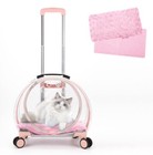 Pet Portable Carrier Backpack Space Capsule Travel Dog Cat Bag Transparent Us