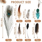 Natural Pheasant Feathers Bulk 100pcs Spotted Mixed Craft Feathers Lot