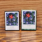 Vintage Antioch Floral   Tiger Ex Libris Bookplates Flower Library Sticker Label