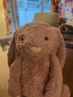 Jellycat Of London Plush Tulip Dusty Pink Bashful Bunny Medium 11 Inches
