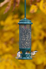 Squirrel Buster Legacy Squirrel-proof Bird Feeder W 4 Metal Perches  2 6-poun   