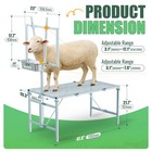 Steel Livestock Feeder Horn Milking Stand For Goats   Sheep Deer Gravity Feeder