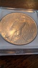 1928 S Peace Dollar Silver Very Lustrous Great Shape