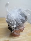 Fascinator Hair Clip Feather Flower Veil Wedding  Derby  Cocktail Hat White