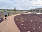 Stabilized Decomposed Granite  Pathway Fines  Gold  40 Lbs   Great For Pathways