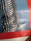 Vintage Kiss Poster 1976 Tour Record Store Promo 34 x23 