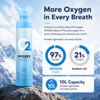Spzoer Canned Oxygen 10 Liter O2 Bottle Can 6 Pack For High Altitude   Sporting