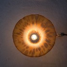 Vintage Amber Glass Trumpet Lily Tullip Shade Lamp Base Night Light