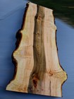 Xl Mind Blowing Birdseye Maple Burl Wood Blank  Live Edge  Turning epoxy Wood 