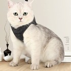 Pet Harness And Leash Adjustable Stretchy Escape Proof Cat Walking Jackets