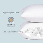 Euro Pillow Inserts Down Premium Feather Pillows Stuffer Bed Couch Cushion New
