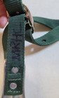 White Stallion Anti-cribbing Strap In Green