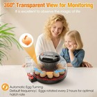 Incubators For Hatching Eggs 12 Egg Automatic Egg Turner With Temperature Humidi
