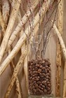 250 Small Mini Pine Cones