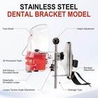 Dental Simulator Mannequin Head Teeth Model Teaching Practicing Head Mold