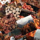 New Autumn Dream Craft Smith  12 x12   Paper Cardstock Pad 48 Sheets 24 Designs