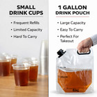 1 Gallon Drink Pouch Bag W  Cap   Handle Beverage Take Out Bags 5-50 Pack