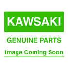 New 2024 Genuine Kawasaki Ninja E-1 Z E-1 Charger  north America  Nx011 Nr011