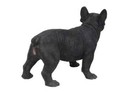 Large Black French Bulldog Puppy Dog - Life Like Figurine Statue Home Garden