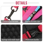 Cute Cartoon Dinosaur Baby Safety Harness Backpack Toddler Anti Lost Bag