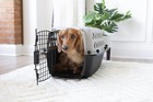 23  Dog Crate Plastic Travel Pet Carrier Pet Kennel Small Lightweight