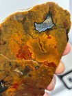 Oregon State Jasper Slab Cabbing Lapidary Carving Combo Ship Avail