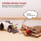 Cat Toys Chirping Birds 2 Pcs With Catnip Silvervine  Interactive Cat Kicker  Li