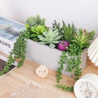 Der Rose 11 Inch Cactus Succulent Plants Wood Pots Farmhouse Bathroom Decor