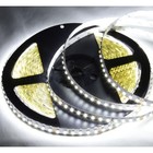 Abi 1200 Led Strip Light W  Adapter  10m Double Density  Cool White 6000k  24v