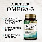 Omega 3 Fish Oil Softgels Extra Strength 2400mg Epa   Dha Heart   Brain Health