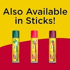 Carmex Daily Care Moisturizing Lip Balm Pack  Lip Balm With Sunscreen In Fresh 