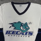 Worcester Ice Cats Shirt Men Xl Minor League Hockey Ahl Vintage 90s Rare Jersey