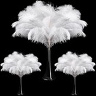 90 Pcs Large Natural Ostrich Feathers Bulk 14-16 Inch 35-40cm 12-14 Inch 30-3   