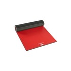 Dollamur 5 x10 x1 25  Wrestling Mat  Red  Workout  Exercise  Gymnastics  Yoga