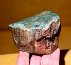 Polished Green Jasper Replaced Petrified Jasperised Wood Hampton Butte  Oregon