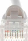 Cat 6 Cat6 Patch Cord Cable 500mhz Ethernet Internet Network Lan Rj45 Utp White