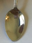 Wyoming Vintage Souvenir Spoon Collectible