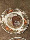 Queen s Harvest Bounty Salad Plate  Never Used  10880426 