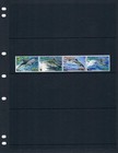  3 75 Scott Value - 2007 Grenada Dolphins Caribbean Marine Life Cv Mnh Nh Umm