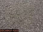 Qty  5  Americo Brightlind 400517 Hp500 Heavy Duty Floor Stripping Pads 17 