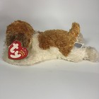 Sampson St  Bernard Dog 10th Gen 2001 Retired Ty Beanie Baby Collectible Mint