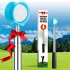 9ft 12ft 15ft Retriever Hinged Grabber Telescopic For Golf Ball Water