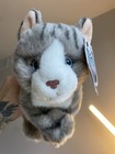 Toys R Us Animal Alley Grey Tabby Cat Plush 10  Blue Eyes Stuffed Animal Kitten
