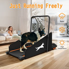 Dog Treadmill Small Dogs - Dog Treadmill For Medium Dogs - Dog Pacer Treadmill F