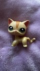 Authentic Lps Short Hair Cat  1905 Littlest Pet Shop Hasbro 2005 Yellow Orange