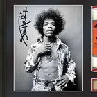 Jimi Hendrix Legends Of Music Gold Record Display W reproduction Signature