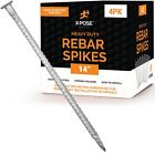Rebar Stakes - 14 Inch Metal Spikes For Asphalt 1 2 Inch Diameter 