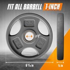 1 Inch Grip Weight Plates  Cast Iron Strength Training