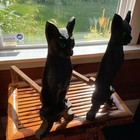 Antique Victorian Cat Andirons With Green Glass Eyes